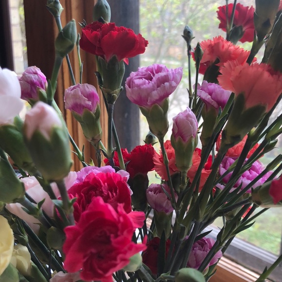 Meet your Posher, Jayne - Picture 1 of 1